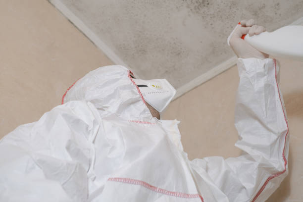 Best Professional Mold Removal  in Rio Pinar, FL